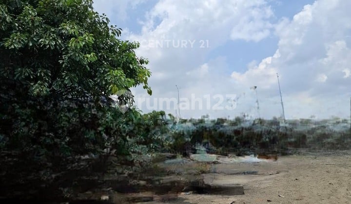 Tanah Padat Strategis Pinggir Jalan Raya Akses Mudah di Cilincing