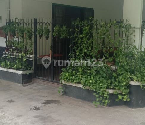 Rumah Strategis Ori Bangunan Jaman Belanda