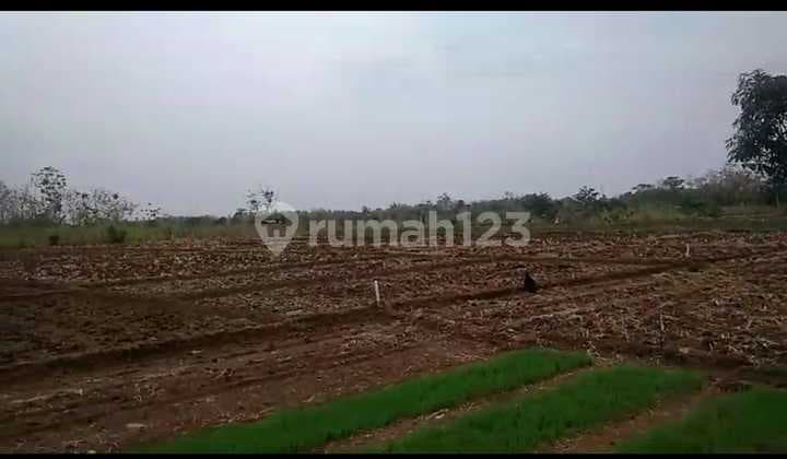Tanah Siap Bangun dekat Bandara dan Tol Kertajati Majalengka