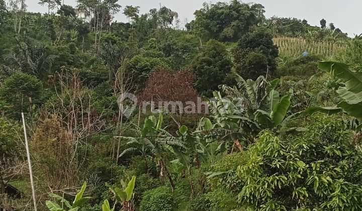 Jual Murah Kavling di Sebelah Forest Hills Dago Resort Bandung