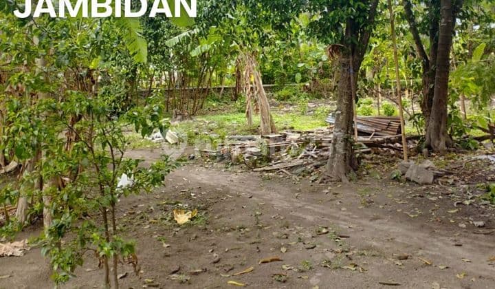 Invest in Jogja Land Plots SHM Near Uad 4 Giwangan 50M Jl Pleret