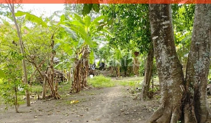 Tanah Kavling Luas 533M2 Murah di Banguntapan Dekat Giwangan SHM