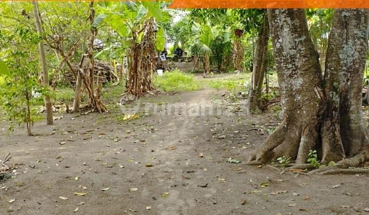 Tanah Luas 533M2 Murah bisa Kavlingan di Banguntapan Dkt Giwangan