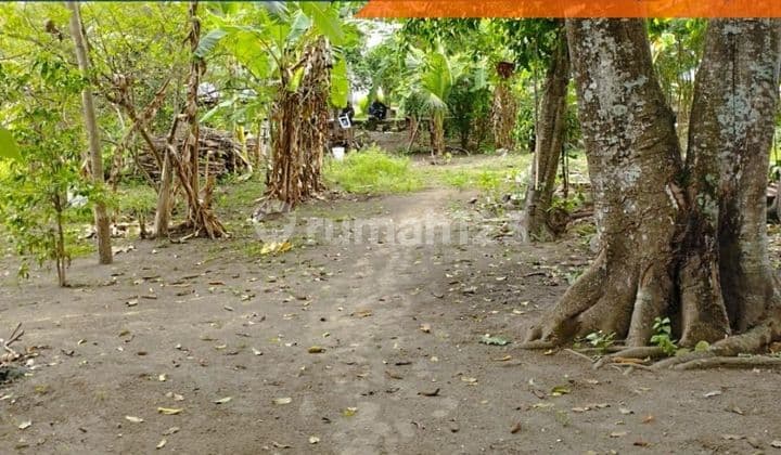 Tanah Kavling Murah di Banguntapan Dekat Rs Rajawali Citra Balong