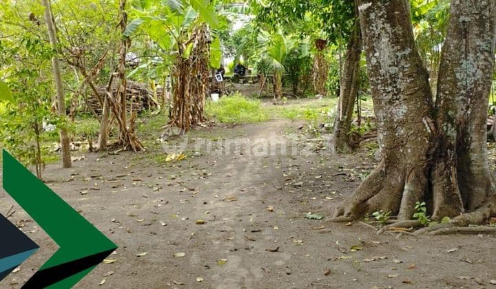 Cheap Land in Banguntapan near Rs Rajawali Citra, can be Parceled