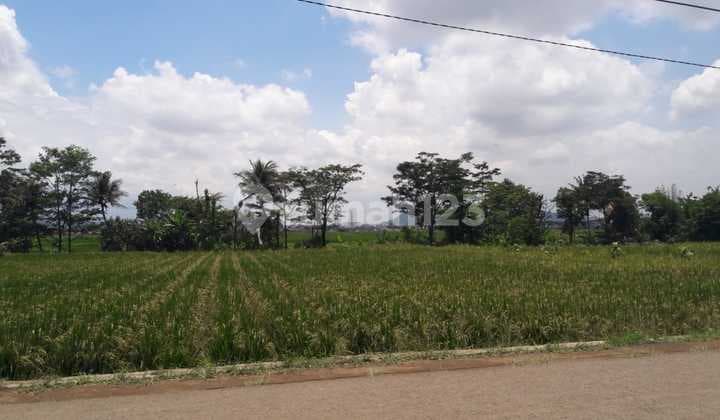 Jarang Ada! Tanah Di Padalarang Dekat Kbp Cocok Buat Cluster Perumahan