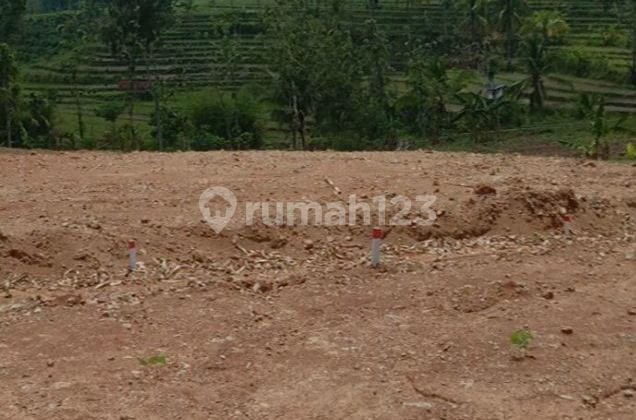 Cheapest Plot Sak Bergas Gondorio Semarang Regency