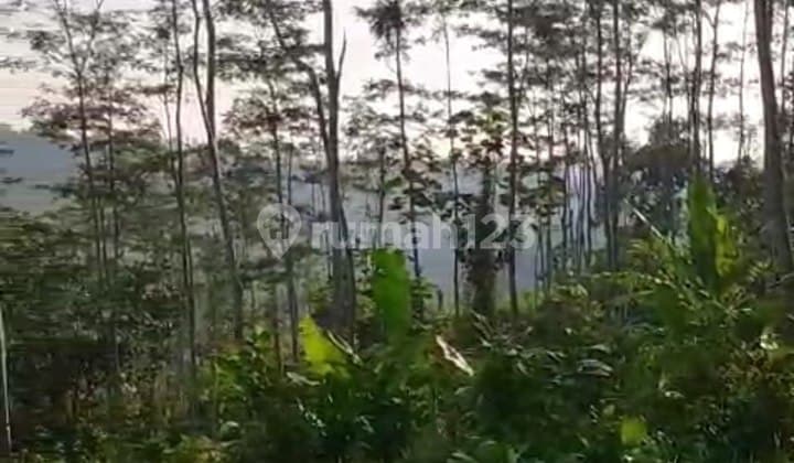 Dijual Lahan Dekat Wisata Bukit Pinus, Wisata Banyu Mili