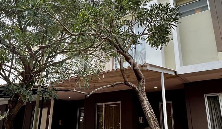 For Rent Malibu Village House Gading Serpong