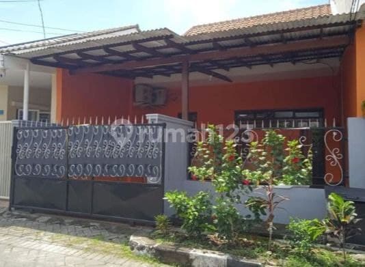 Disewakan Rumah Di Babatan Pratama Sudah Renov Wiyung Dkt Paluwon