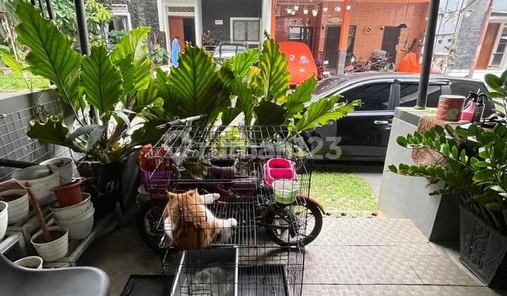 Rumah Murah Siap Huni Di Sektor 9 Bintaro Jaya