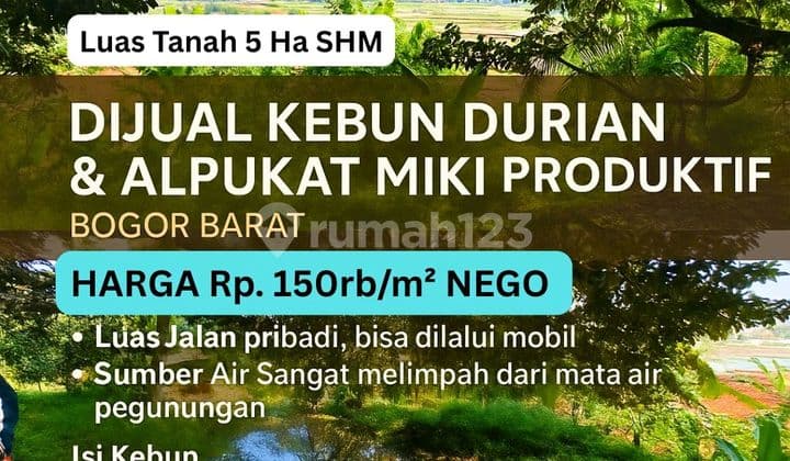Jual Kebun Durian Alpukad Di Bogor Sudah Berbuah 5ha Shm