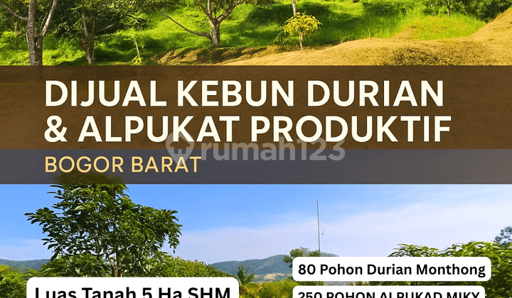 Dijual Kebun Durian Di Leuwiliang Bogor Sudah Berbuah 5ha Shm