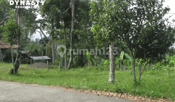 Tanah Harga Di Bawah Pasaran Lokasi Strategis di Gianyar