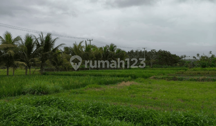 For Sale Tanahbdekat Panti Sesehan Munggu