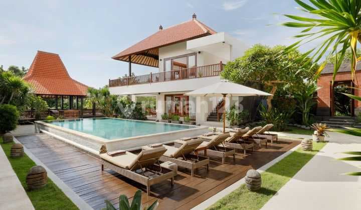 Vila Private Luxury Di Canggu For Rent