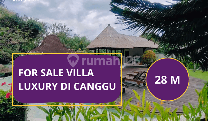 Vila Eksklusif Mewah Luxury di Canggu Bali