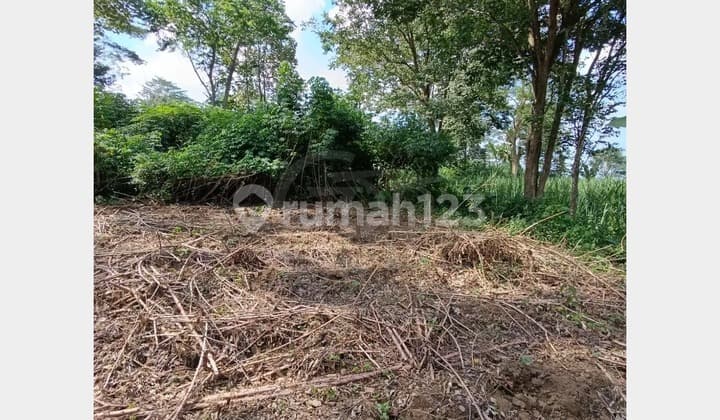Land for Sale on Kalisari Street, Wonokoyo, Kedungkandang, Malang
