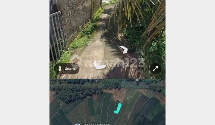 Sell Land in Ngepoh Hamlet, Bradan Kranggan Village, Temanggung