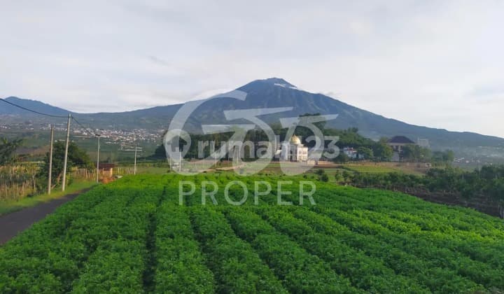 Jual Tanah Perkebunan Strategis di Torongrejo Junrejo Kota Batu Jawa Timur