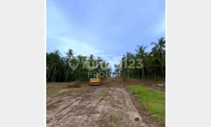 Jual Tanah Kavling Strategis Daerah Tanjunglesung Pandeglang Banten