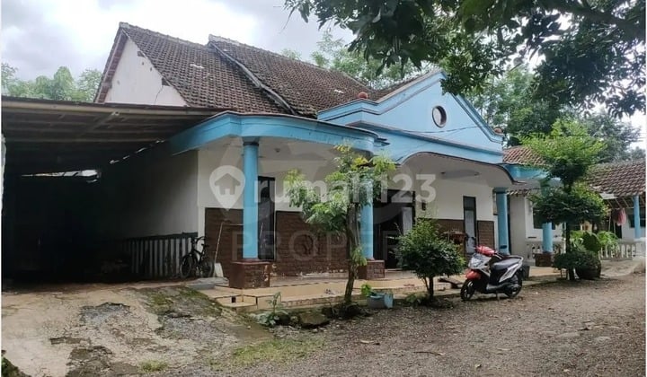 Rumah Jual Nyaman di Tanggul Wetan Jember Jawa Timur