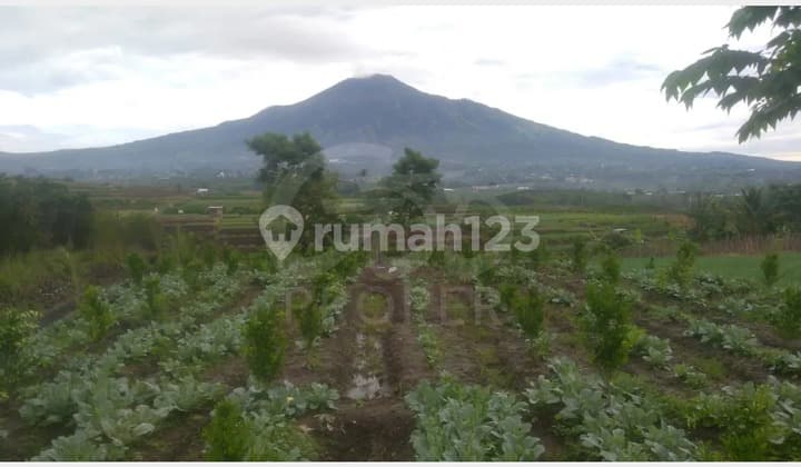 Jual Tanah Kebun Dekat Jatimpark 3 di Torongrejo Junrejo Batu