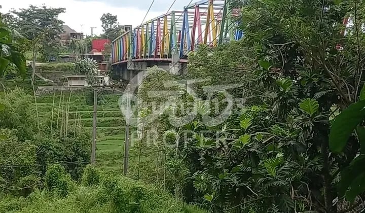 Tanah Sewa 2111 M2 SHM Jl. Raya Pandanrejo Bumiaji, Batu