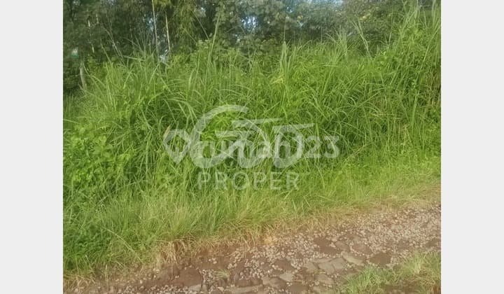 Jual Tanah Perkebunan di Dusun Bedali Wagir Kab. Malang