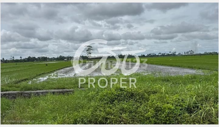 Jual Tanah Strategis di Perbatasan Karangduren Pakisaji Malang Regency Jawa Timur