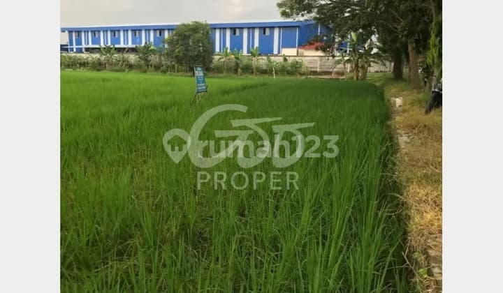 Tanah Jual Nol Jalan di Jl. Raya Ligung Kab. Majalengka Jawa Barat