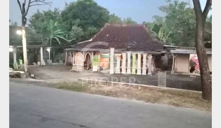 For Sale Land on Jl. Ngambon, Klubuk Village, Purwosari District, Bojonegoro Regency, East Java.