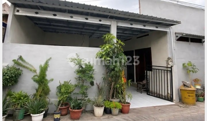 Jual Rukost Siap Huni di Jl. Kedondong Daerah Tegalsari Surabaya