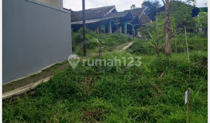 Jual Tanah di Blok Caringin Ngumbang Kec. Warudoyong Sukabumi Jawa Barat