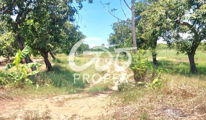 Jual Tanah Strategis di Desa Pekaren Rembang Kab. Pasuruan Jawa Timur