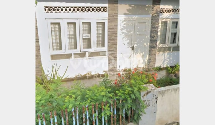 Jual Rumah Siap Huni di Jl. Garuda Daerah Wiradesa Pekalongan Jawa Tengah