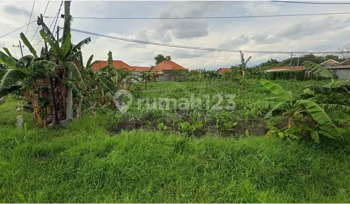 Jual Tanah Daerah Jl. Raya Sumput 4022 M2 Driyorejo Gresik Jawa Timur