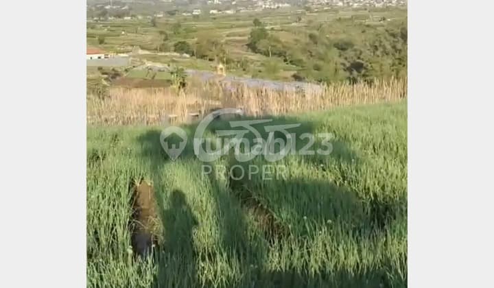 Jual Tanah Persawahan Kawasan Wisata di Dusun Klerek Torongrejo Junrejo Kota Batu Jawa Timur (Nego)