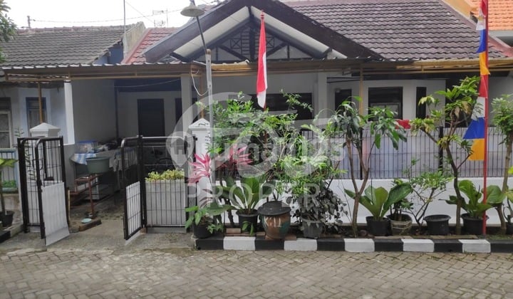 Jual Rumah Unfurnished SHM di Bumi Meranti Wangi Blimbing, Malang Kota