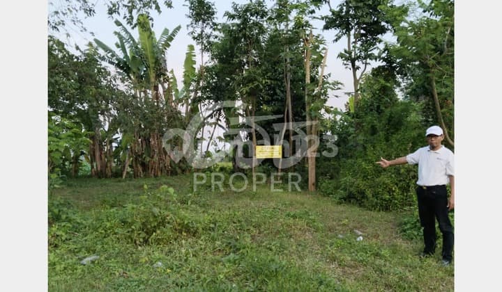 Selling Land in Dompyong Area, Prambanan, Klaten, Central Java