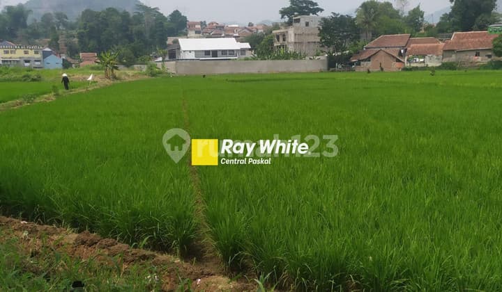 Tanah Bentuk Sawah di Mainroad Alfathu Soreang
