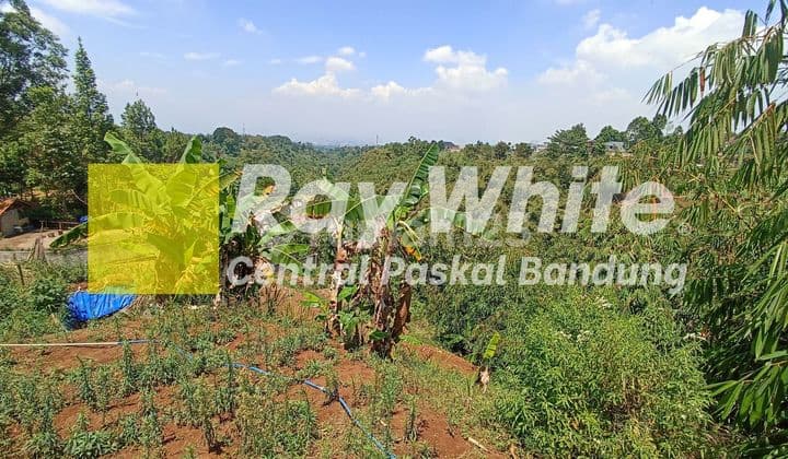 Tanah di Kawasan Puncrut Bandung (sm)