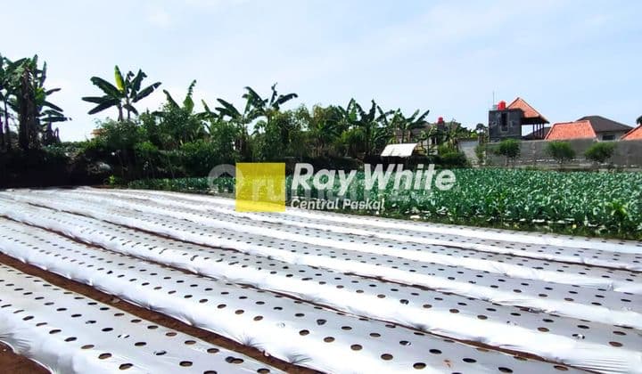 Kavling Villa Trinity Ciwidey