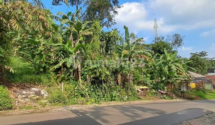 Tanah luas & asri cocok untuk Cafe dan rumah makan.