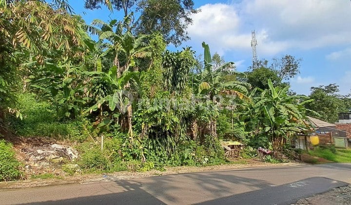 Spacious and green land suitable for cafes and restaurants.