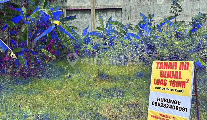 Emptylandnearums Emptylandnearums