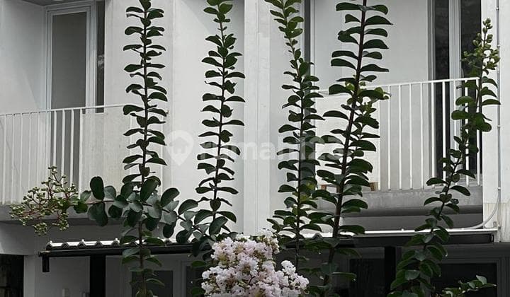 Rumah 3 LT Ful Furnish di Perum Myz BSD Tangerang