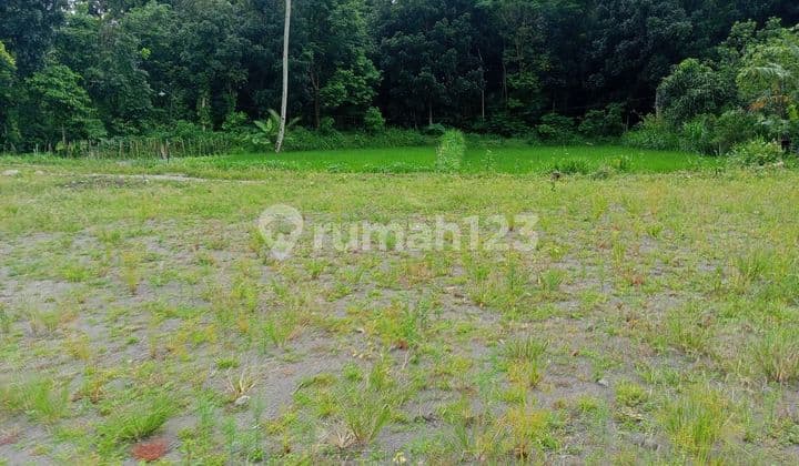 Tanah Jakal Dibawah 2,5 Jt/M2 Lokasi Strategis Dekat Kampus Uii