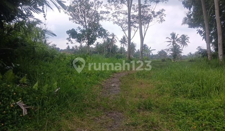 Langka! Tanah Potensial Cocok untuk Villa di Jogja Utara Dekat Kopi Klotok
