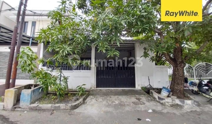 Dijual Rumah Minimalis Darmo Baru Barat Siap Huni